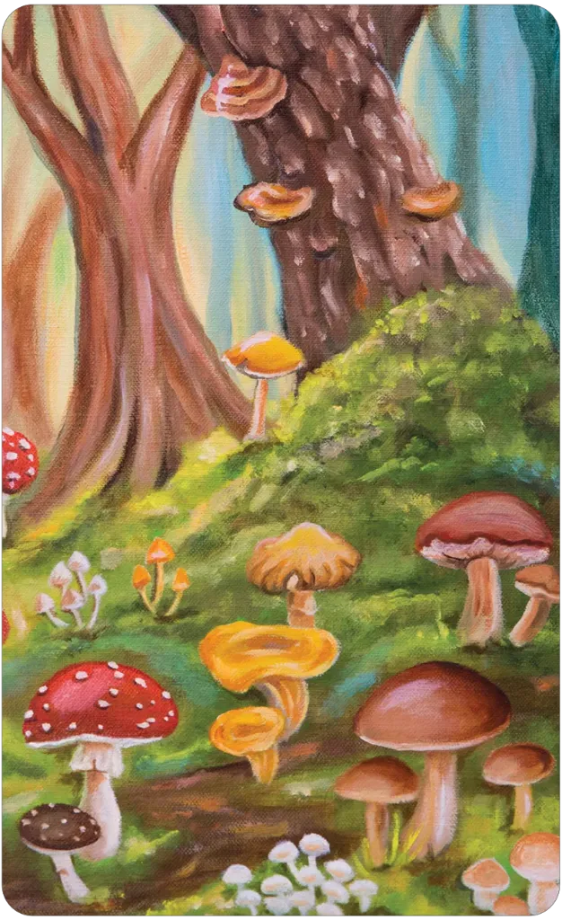 Mushroom Folk Oracle - Card Back.webp
