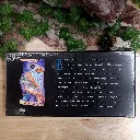 20260818_181552.webp