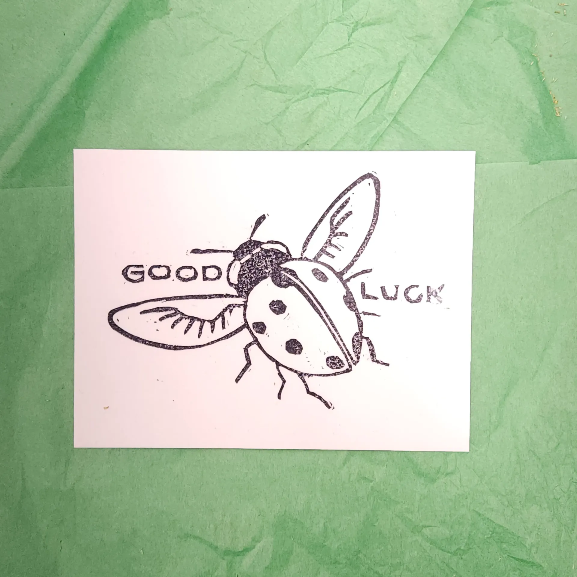 [10124] Good Luck Ladybug Print