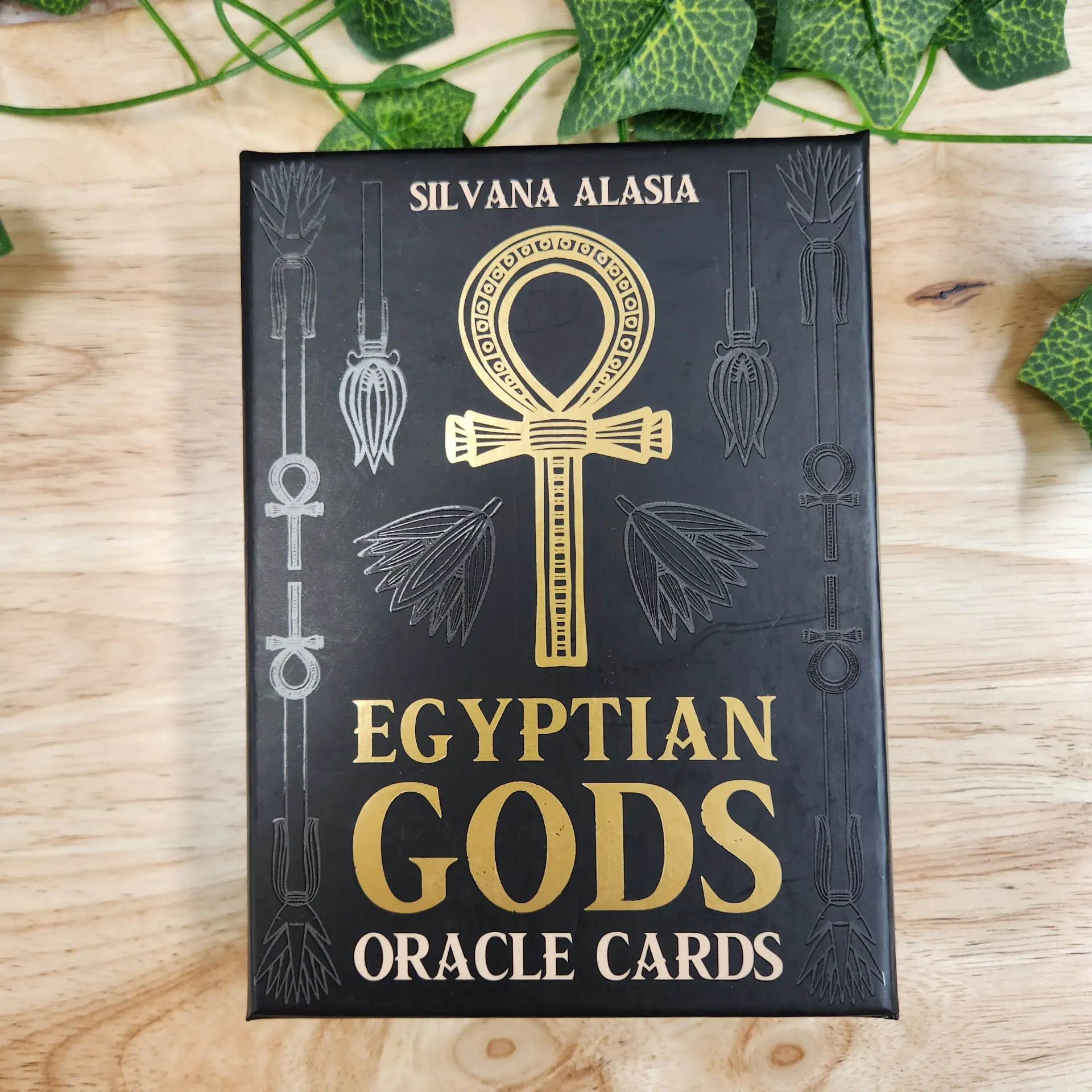 Egyptian Gods Oracle Cards (used)