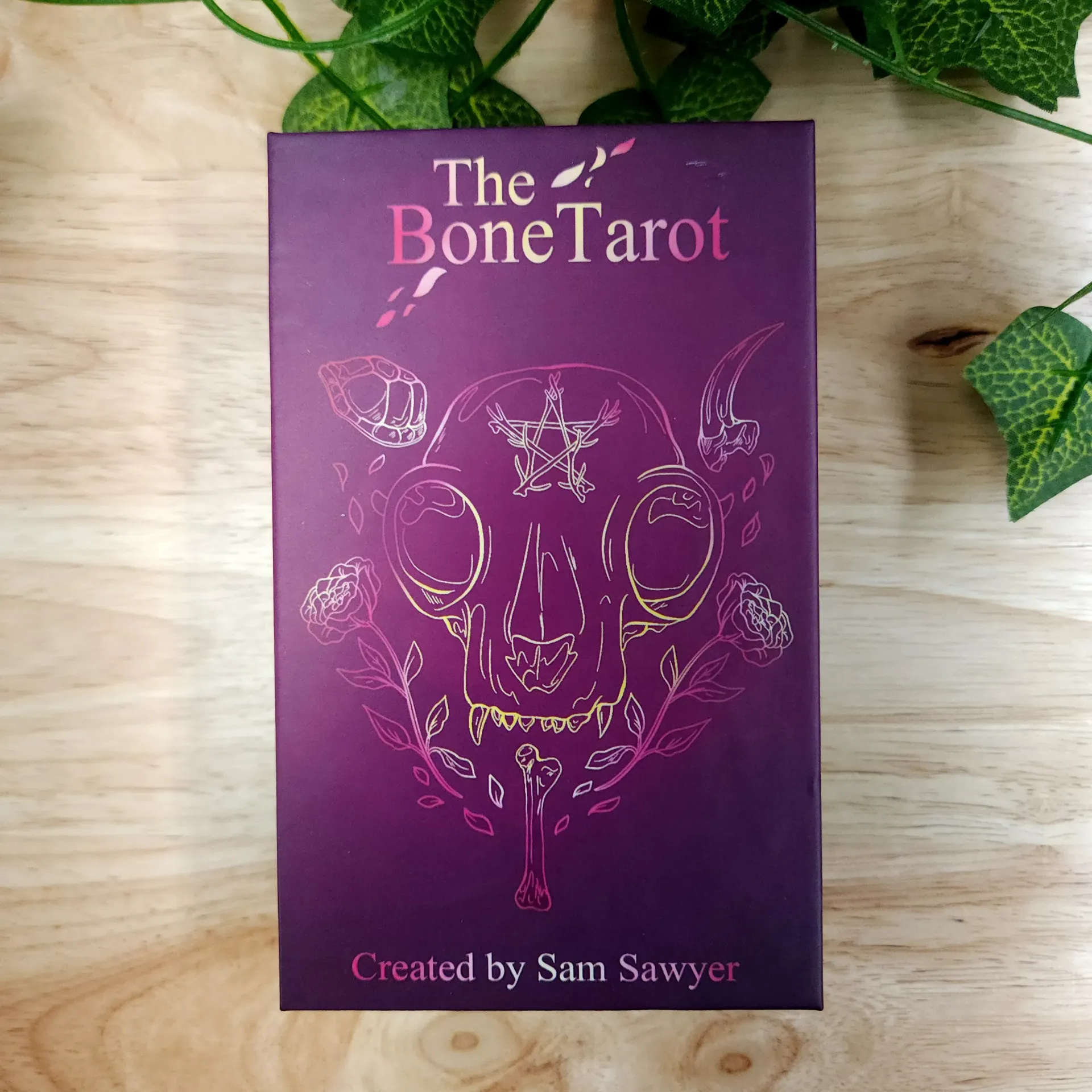 [10214] The Bone Tarot (used)