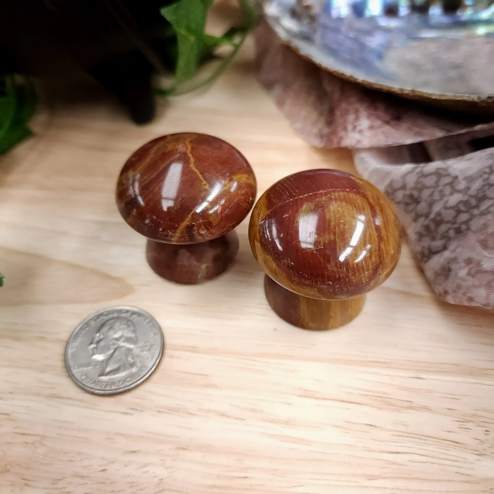 Petrified Wood Mushroom (S)