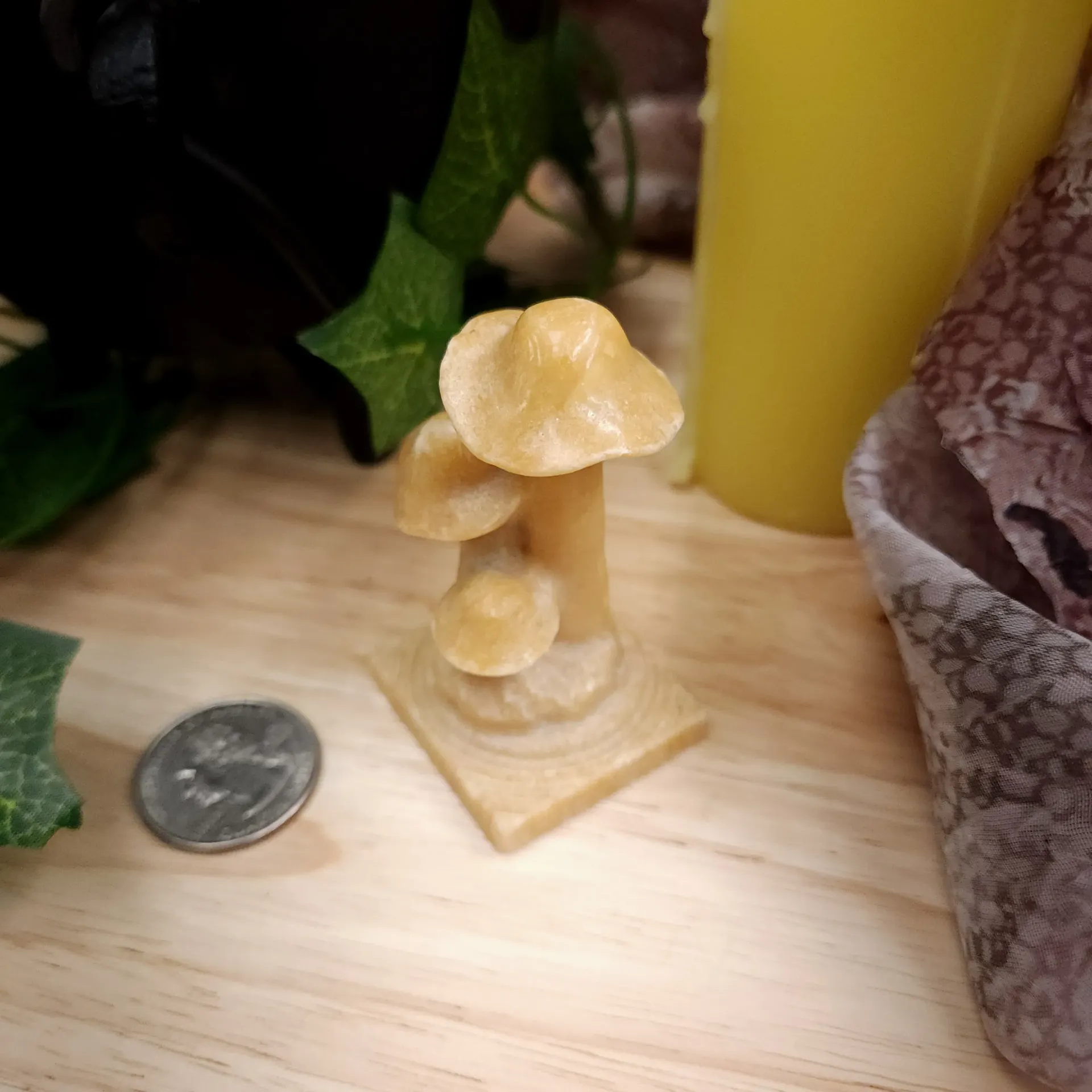Quartz Mushroom Cluster (2.5")