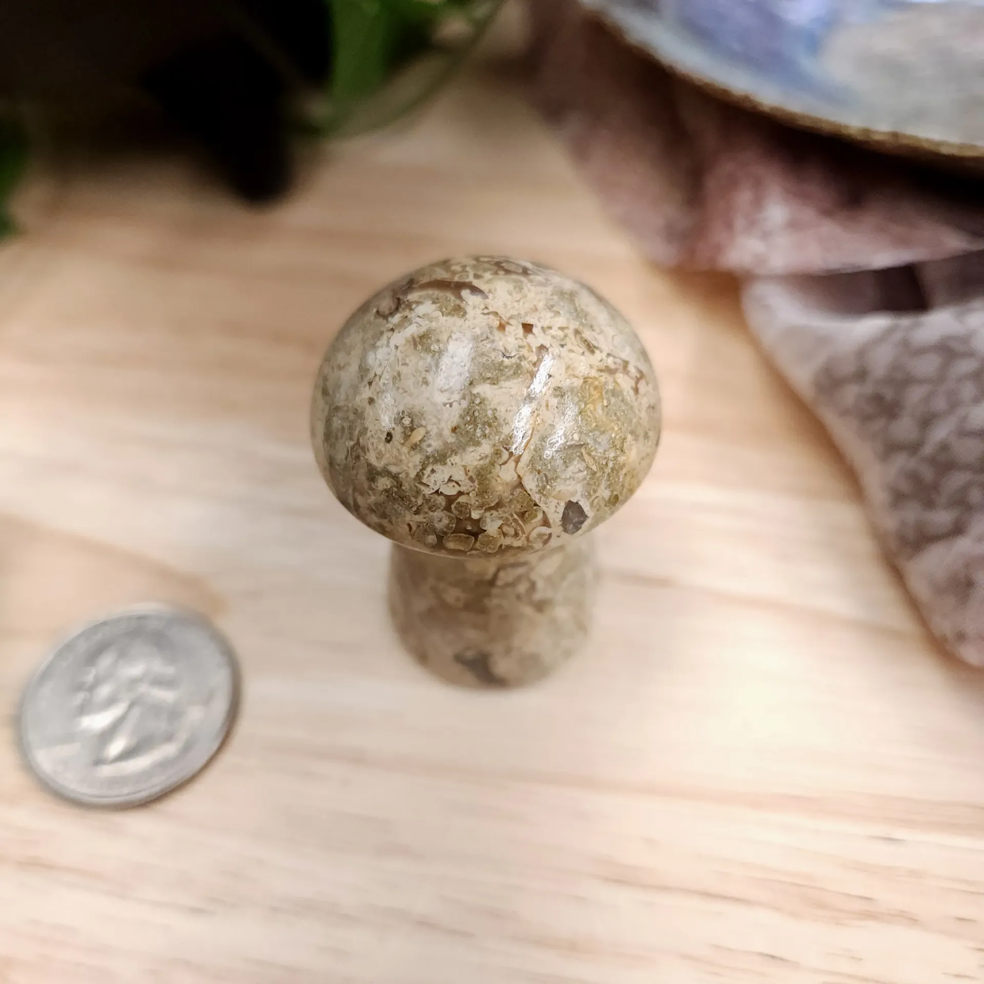Fossil Jasper Mushroom (1.75")