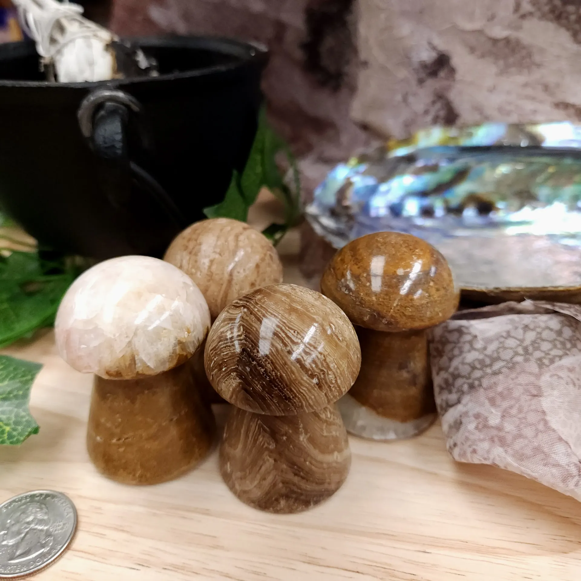 Septarian Mushroom 2"