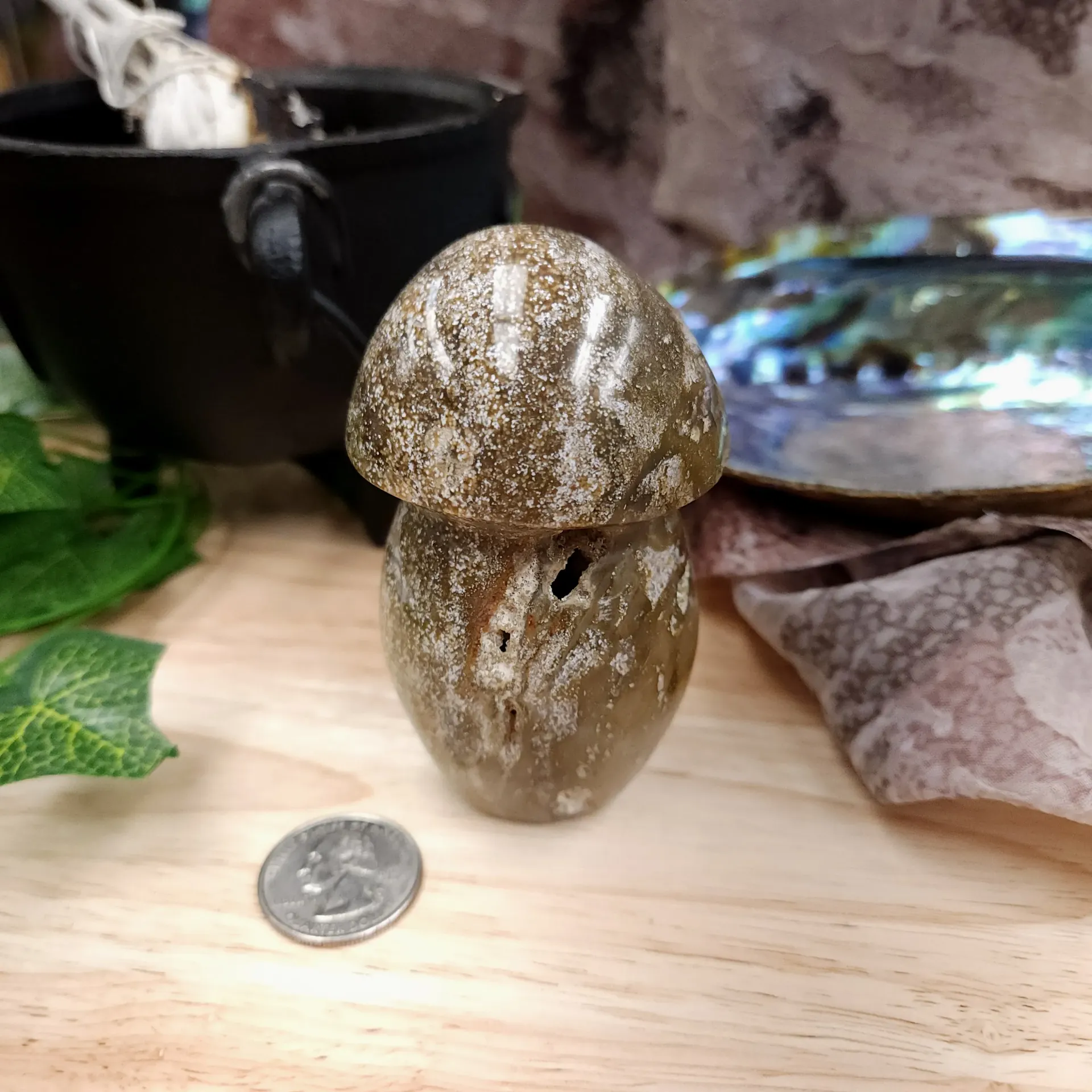 [10281] Ocean Jasper Mushroom (3.5")