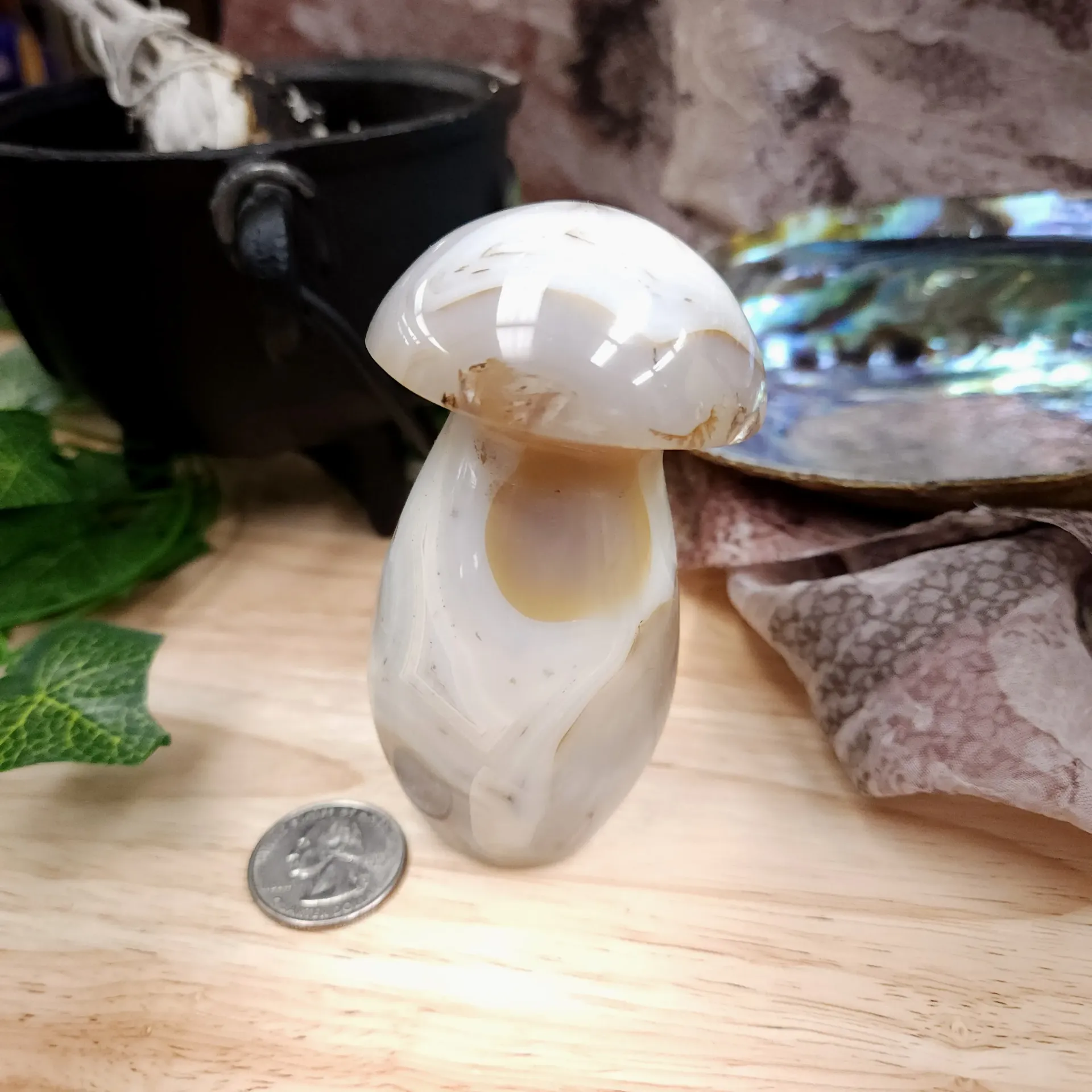 Dendritic Agate Mushroom (4")