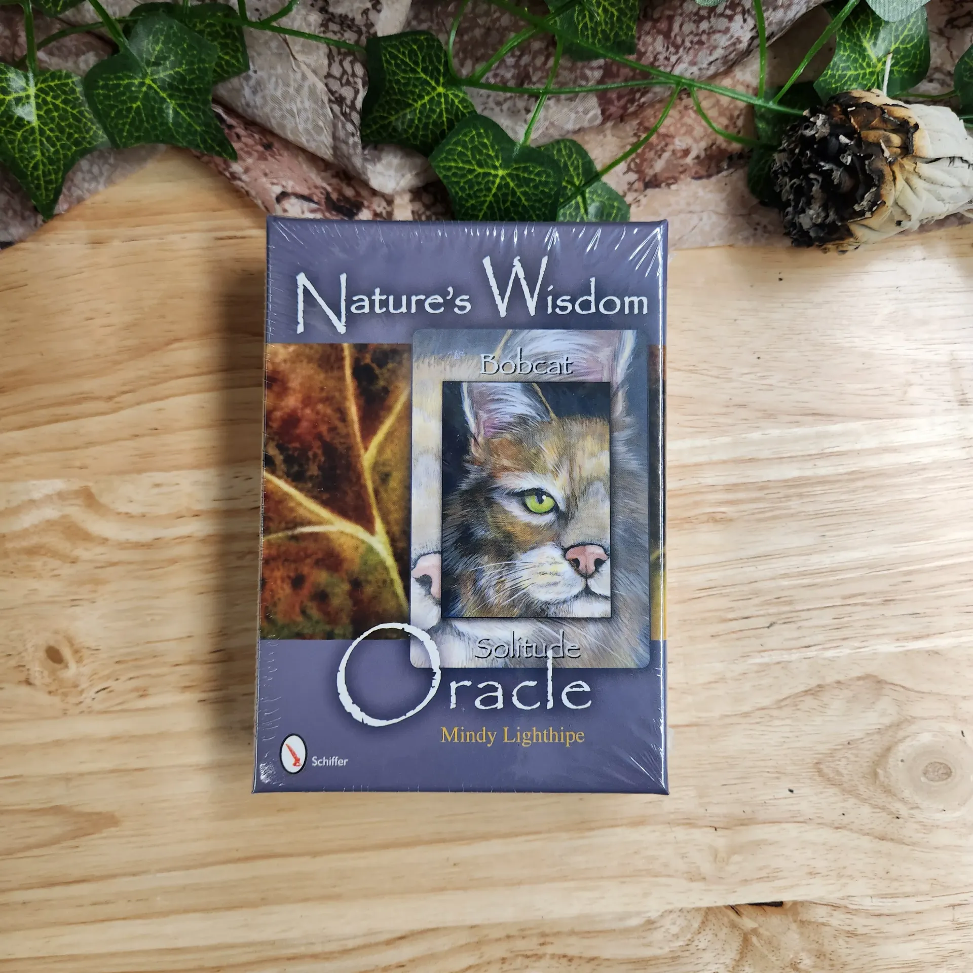 Natures Wisdom Oracle 48 Card Deck