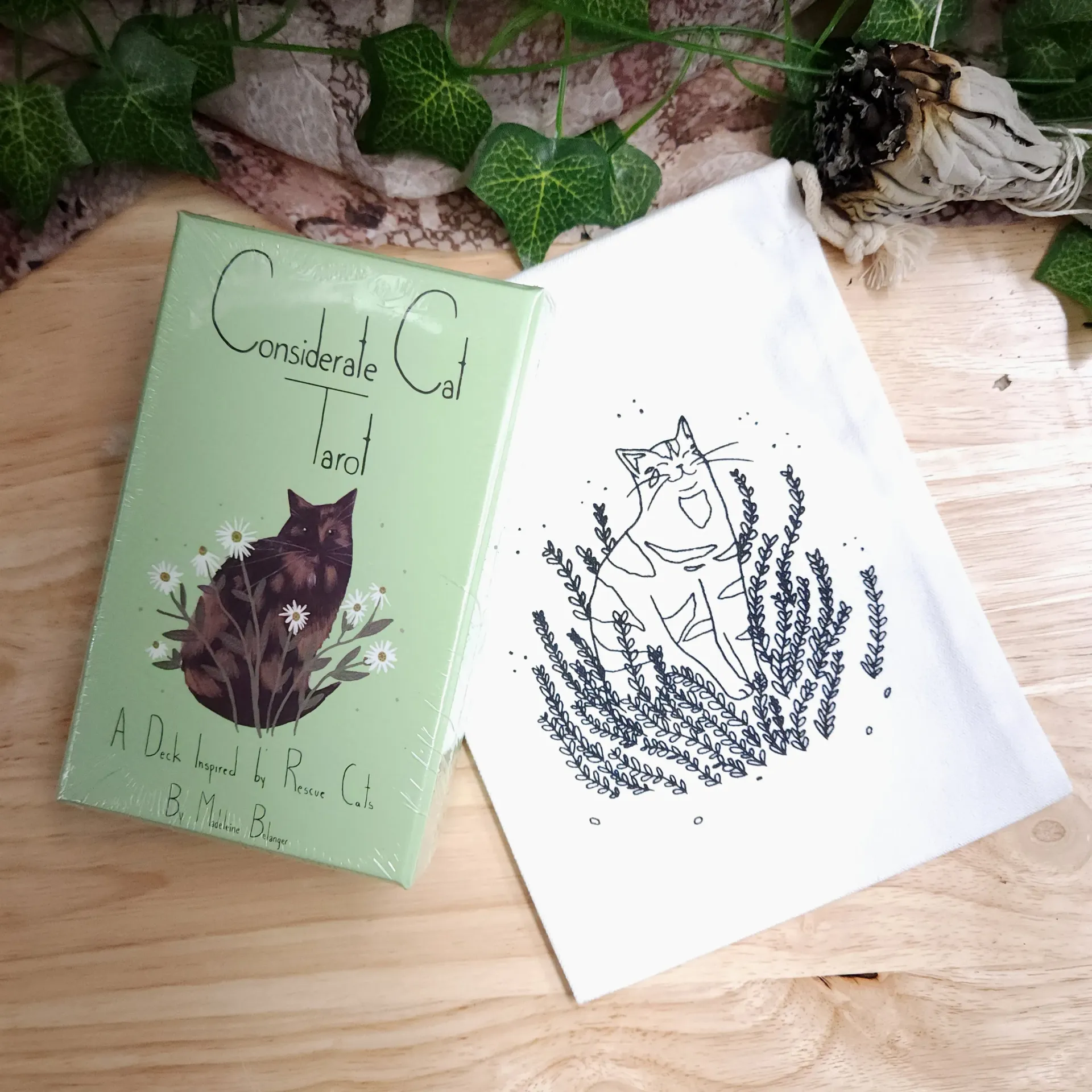Considerate Cat Tarot Bundle