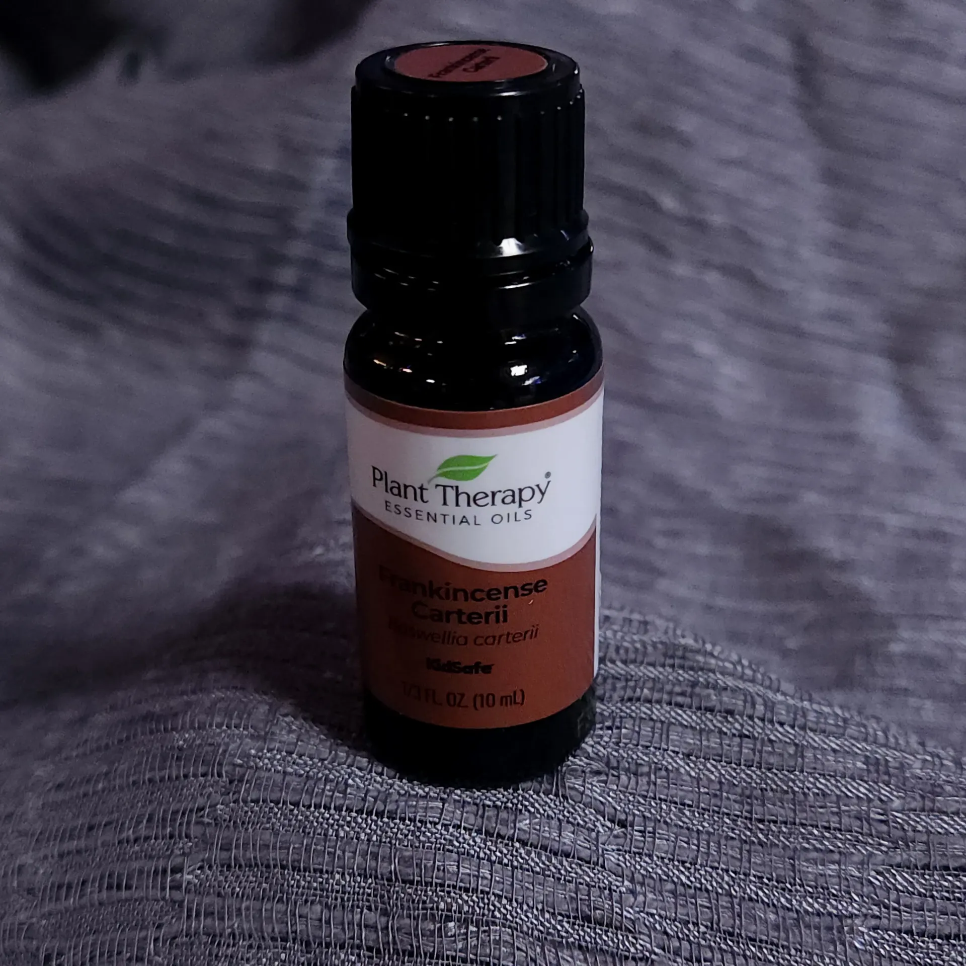 [18290511210] Plant Therapy Frankincense Carterii Essential Oil