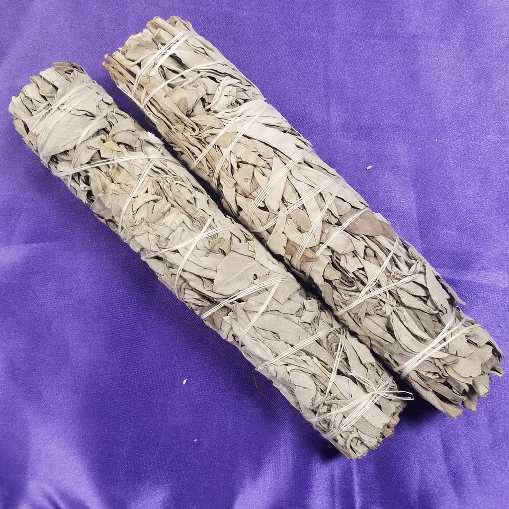 [48402] California White Sage 8"