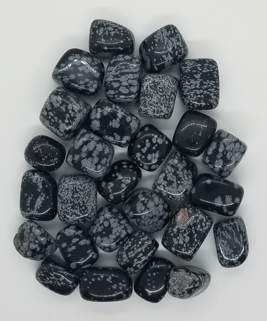 [1209060202] Snowflake Obsidian Tumbles