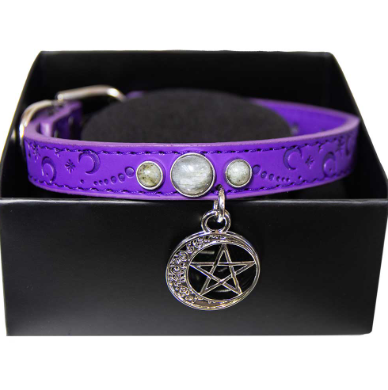 Crystal Pet Collar - Labradorite w/ Crescent Moon Pentacle (Small)