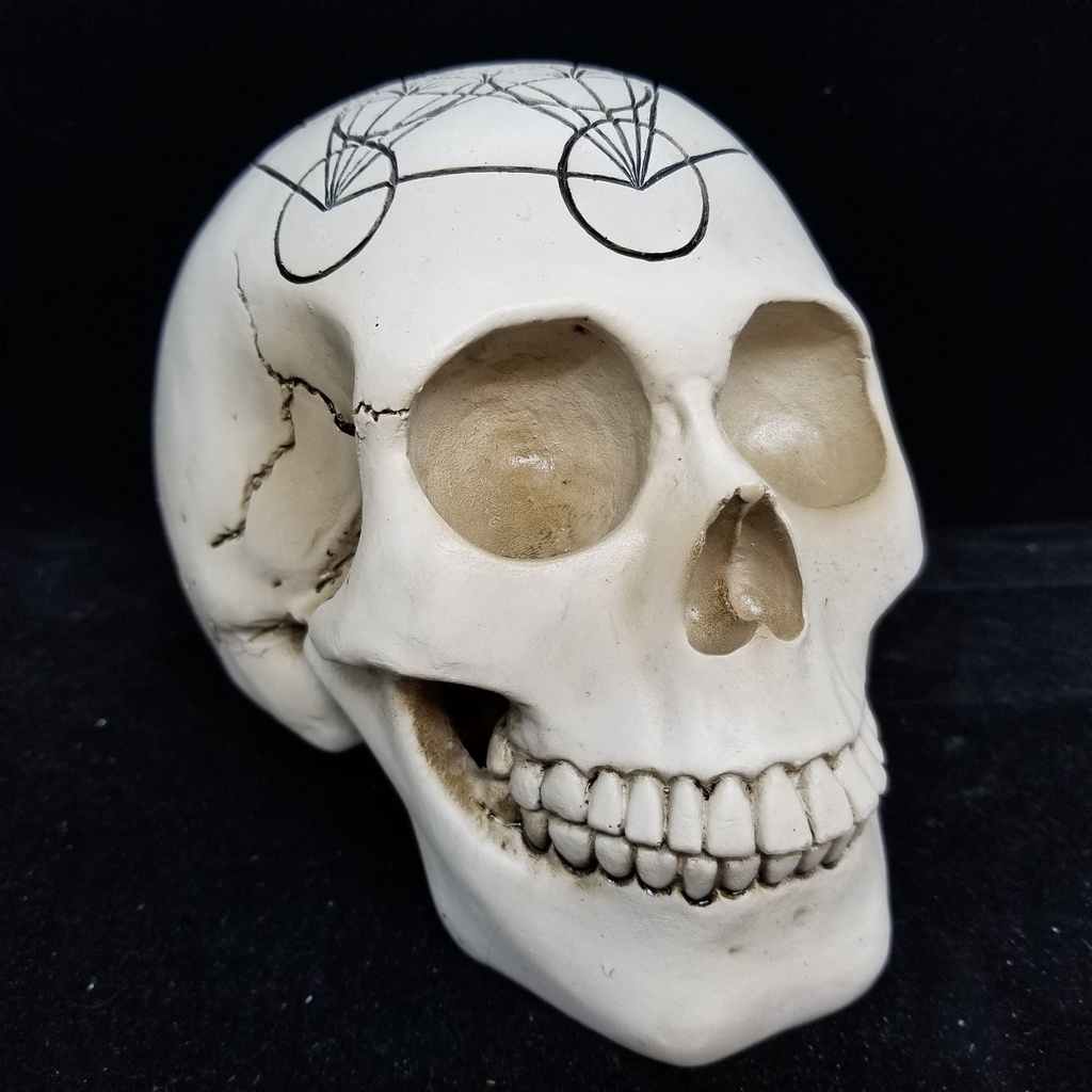 Sacred Geometry Skull Metatron's Cube