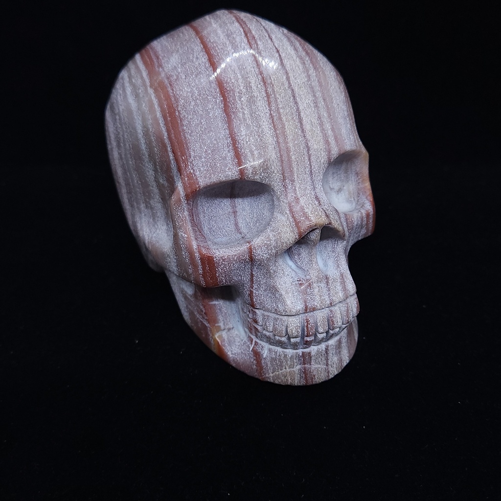 [10958] Jasper Skull (XL)