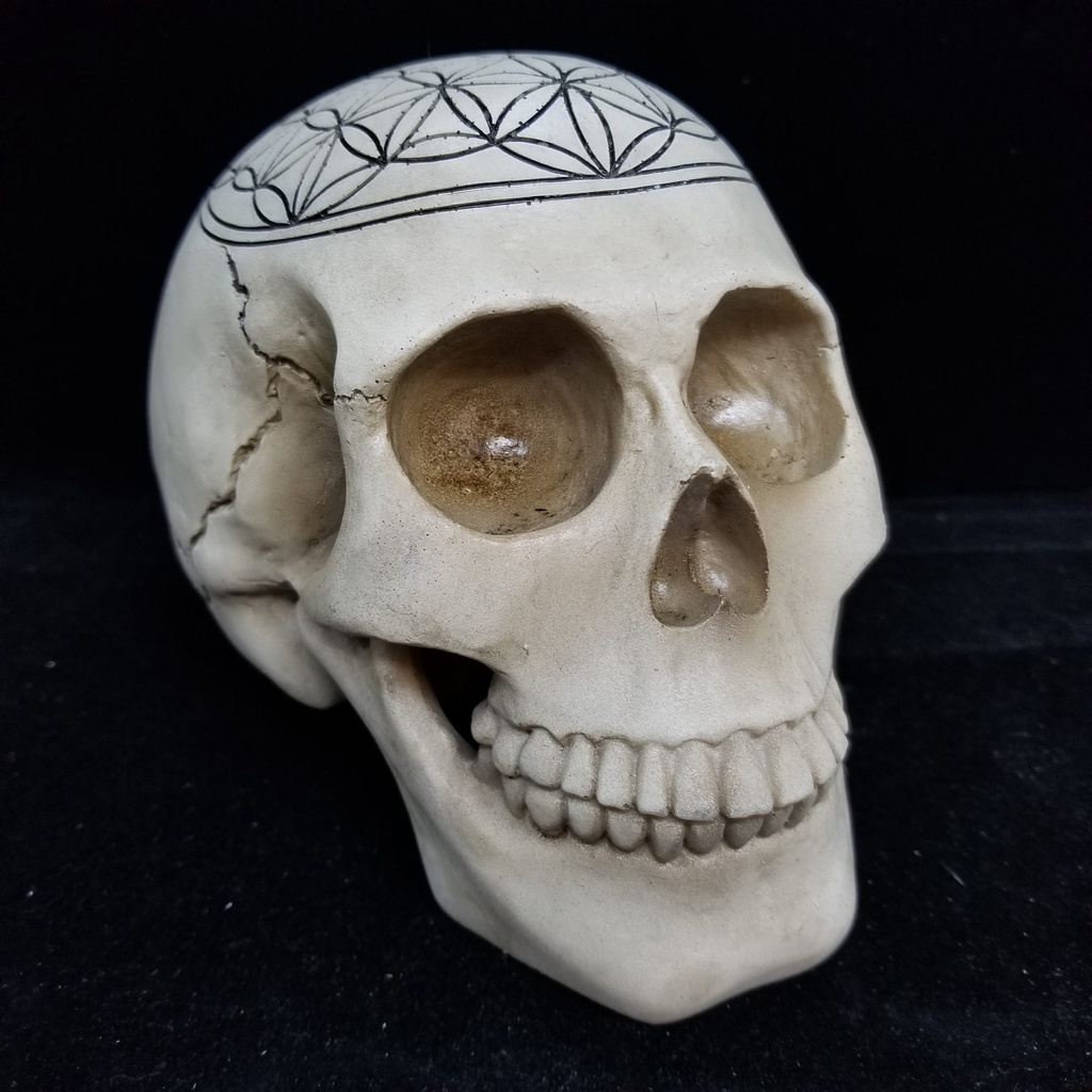 [1713034712925] Sacred Geometry Skull Flower of Life