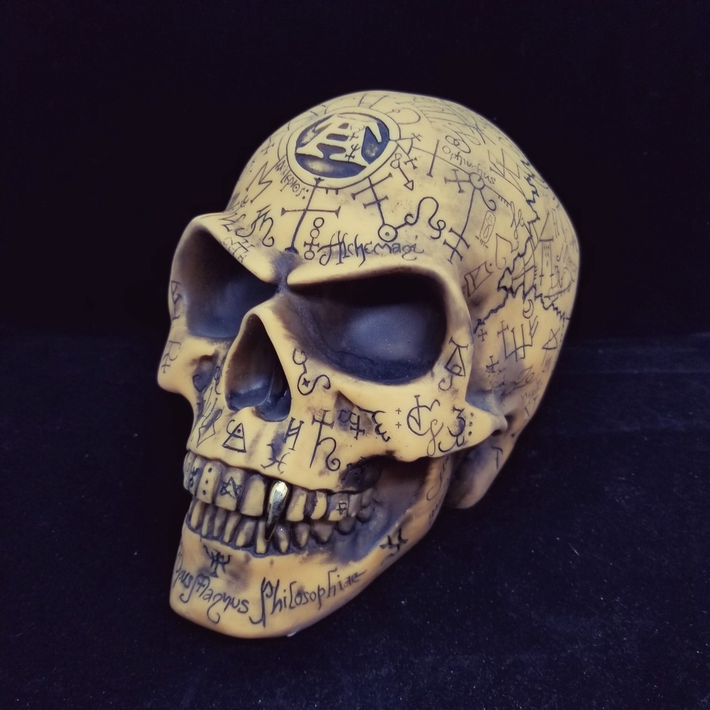 [1713035583] Omega Skull