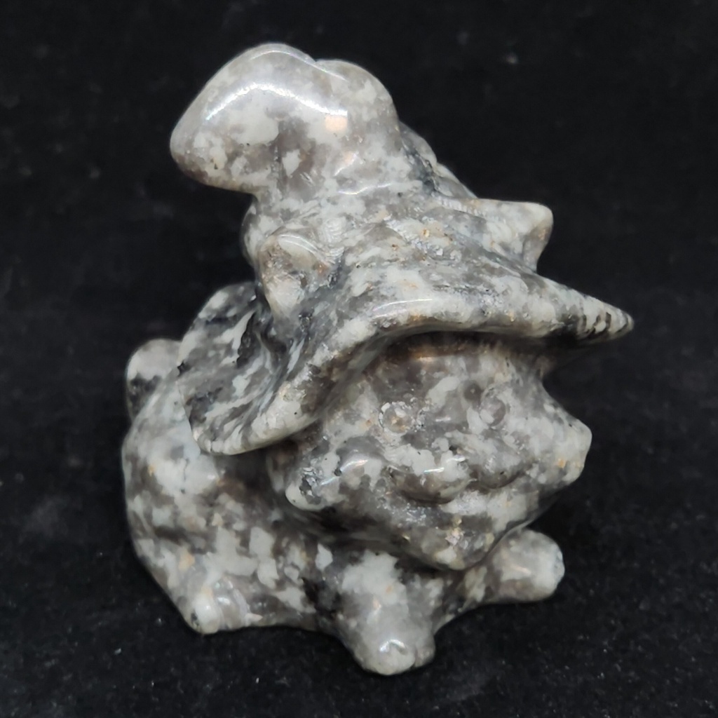 [5309917922] Yooperlite Witch Cat