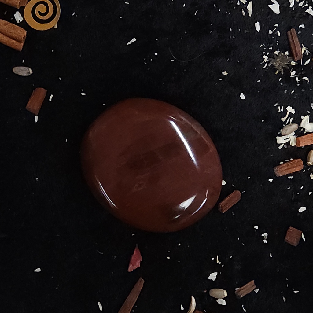 Petrified Wood Palm Stone