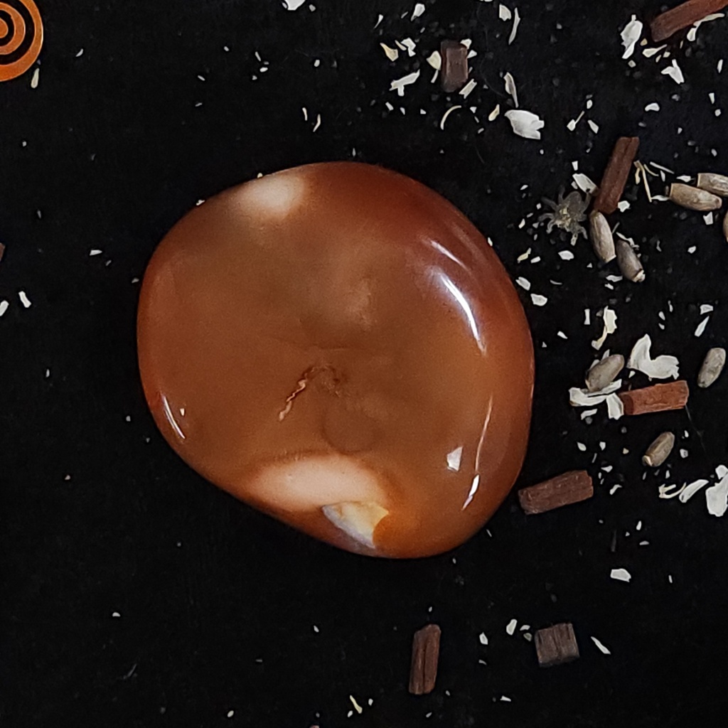 Carnelian Palm Stone 2.5"