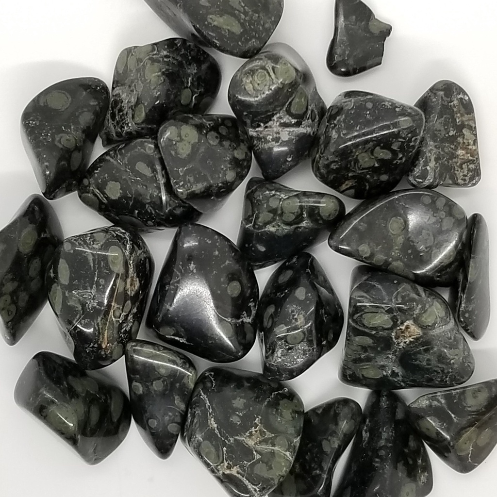 Kambaba Jasper, tumbled