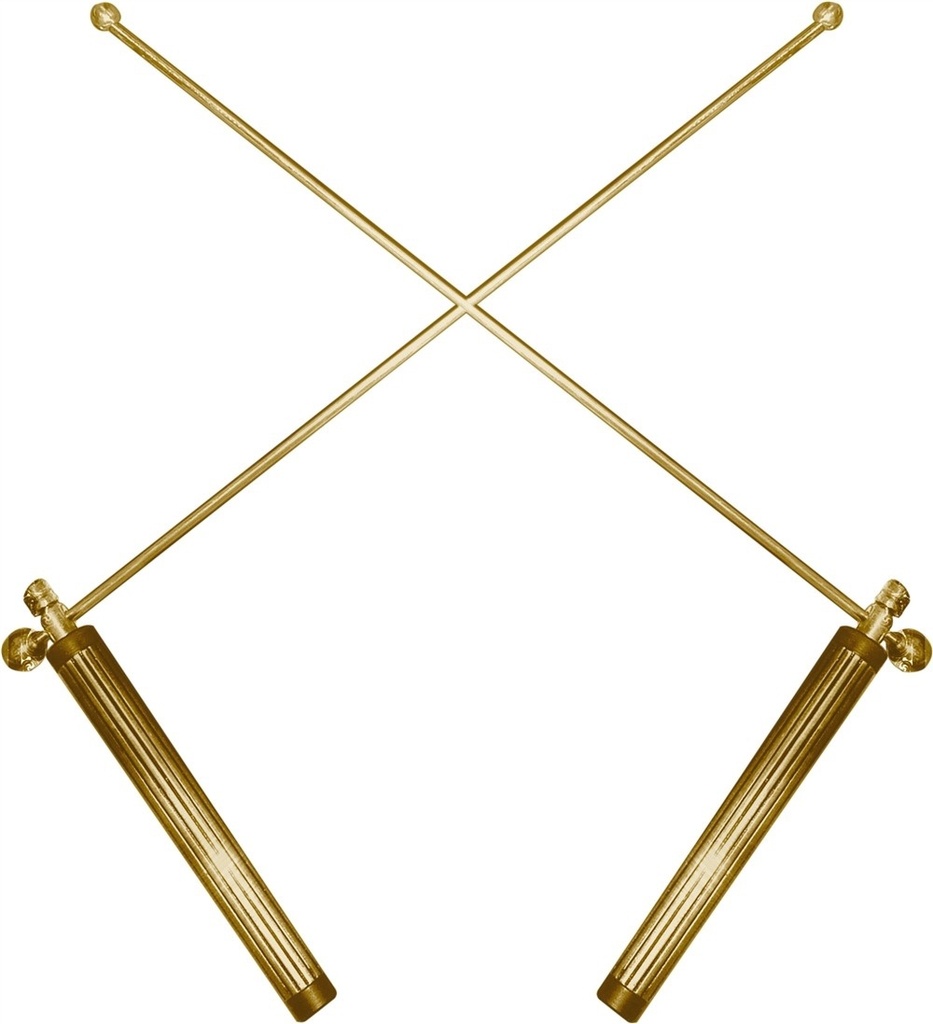 [5410050612] Divining Rods