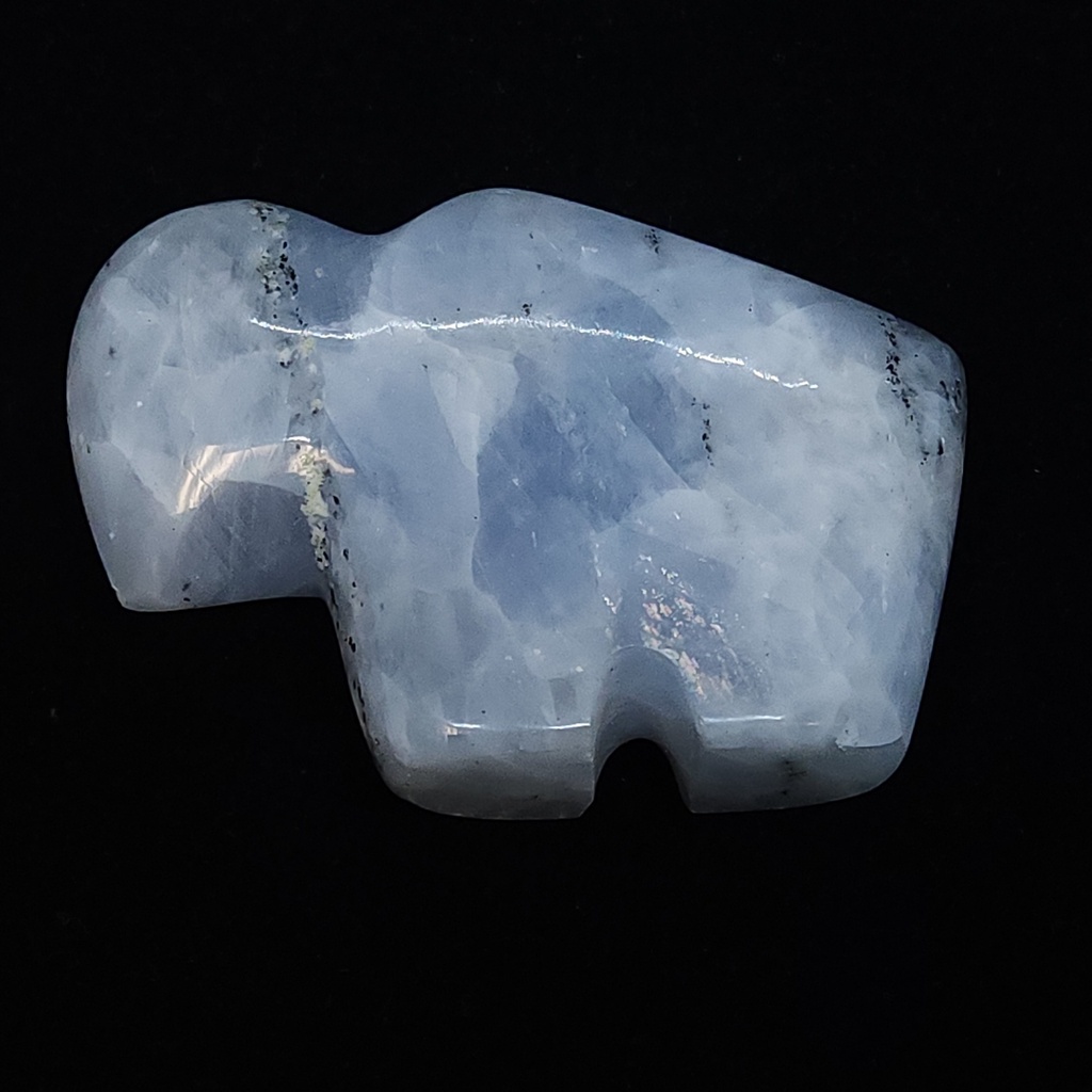 [10841] Celestite Buffalo