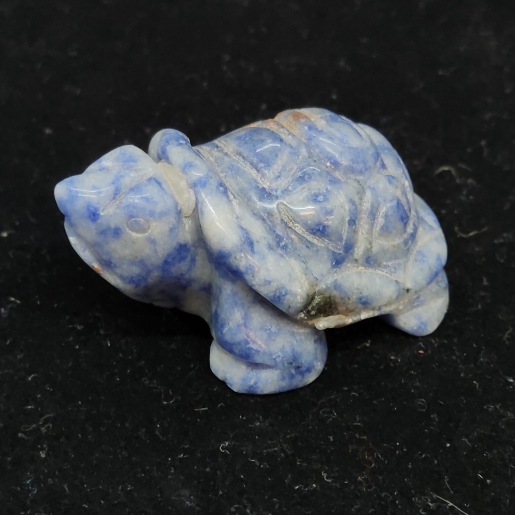 [5309084522] Sodalite Turtle
