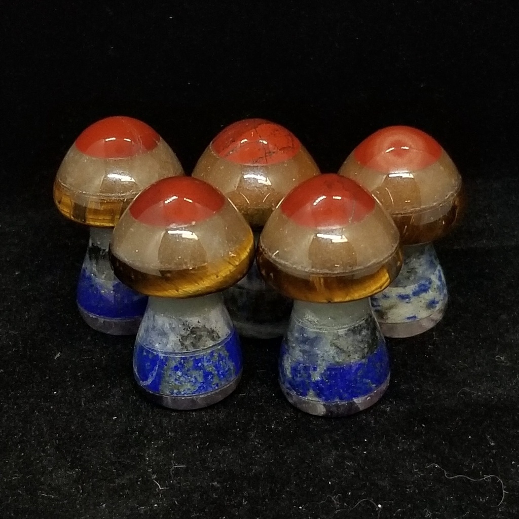 [30091486201] Super Seven Mushrooms