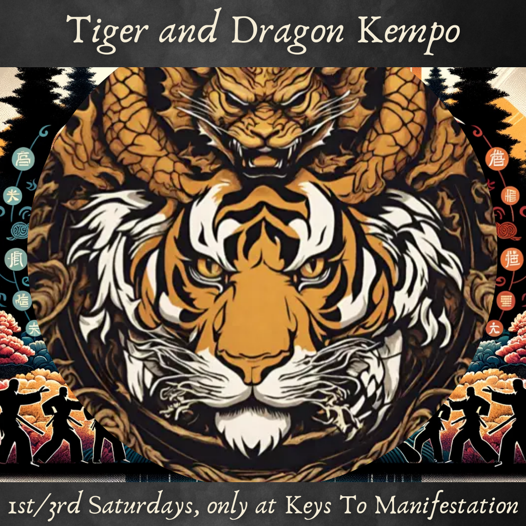 [11049] Tiger and Dragon PRIVATE LESSONS