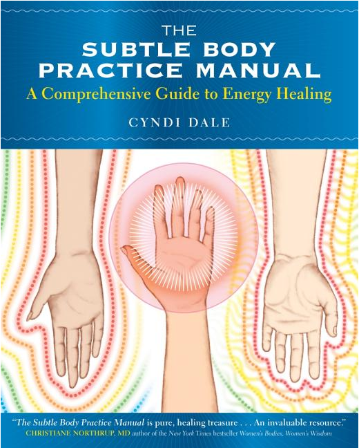 The Subtle Body Practice Manual by Cyndi Dale