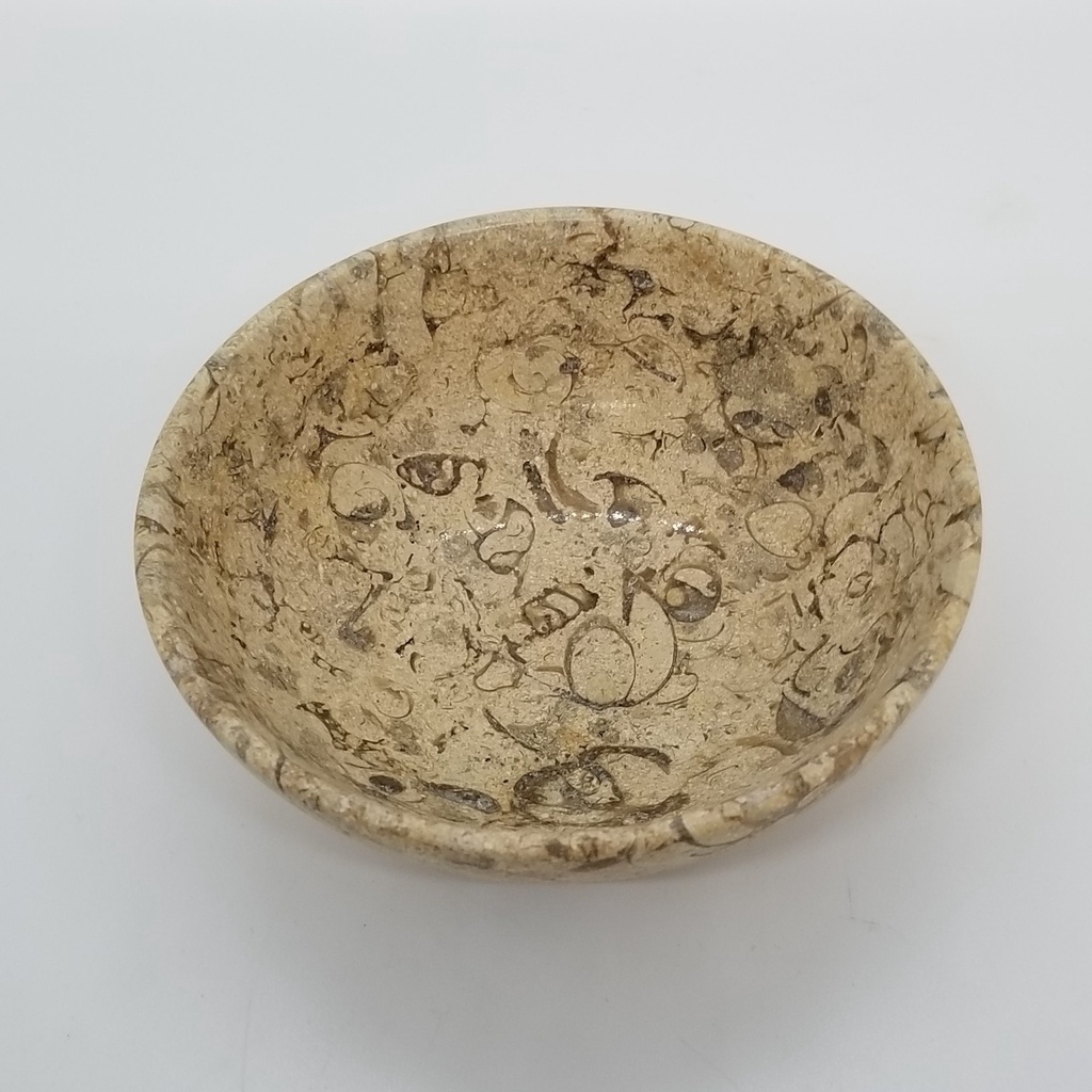 Fossil Coral Offering Bowl 4"