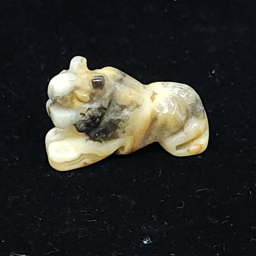 [370910515412] Crazy Lace Panthers