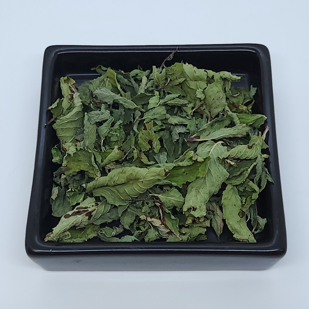 [10318] Spearmint (Mentha spicata)