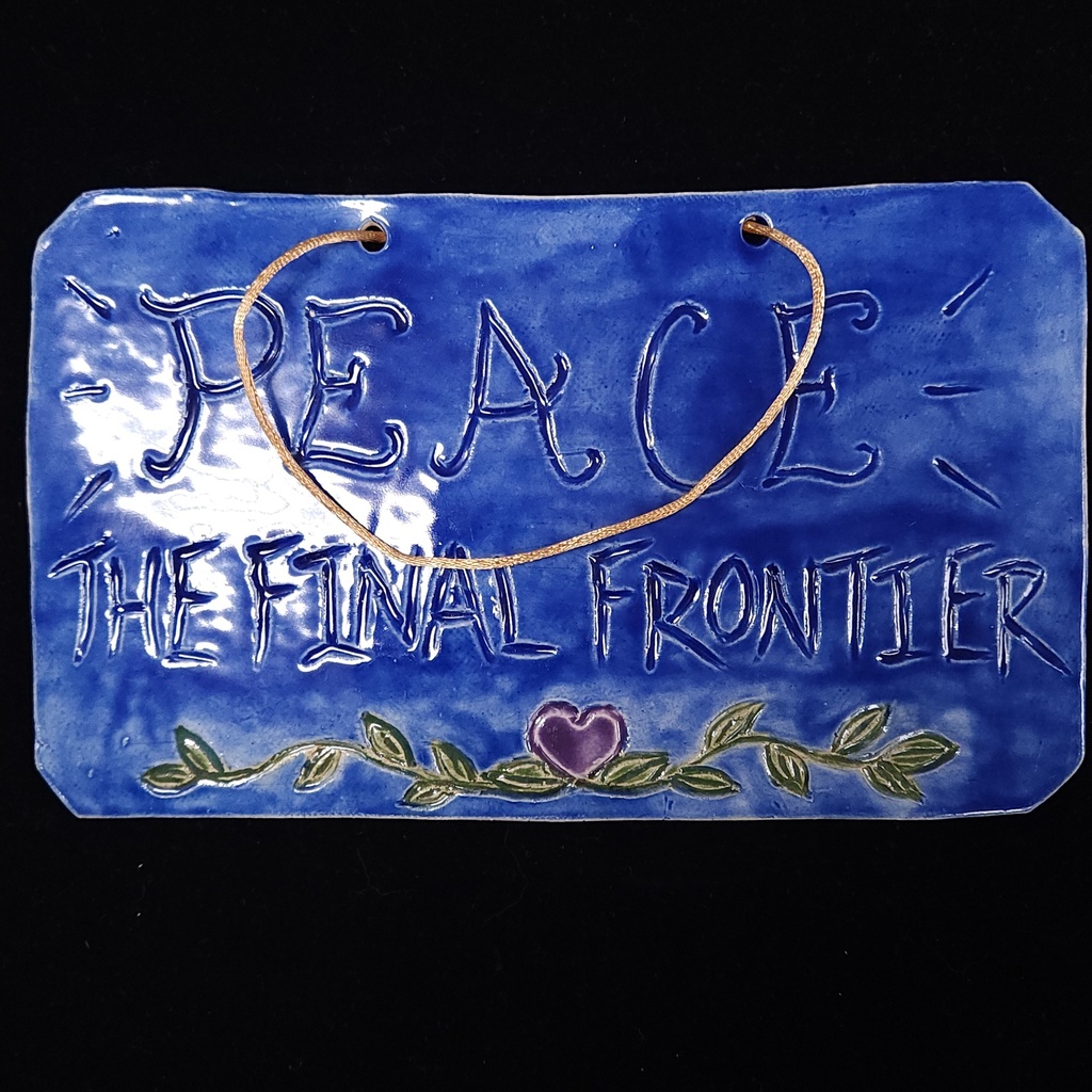 [10429] The Final Frontier Plaque