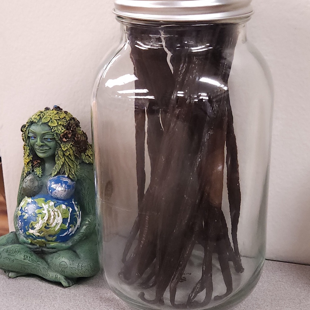 Vanilla bean, organic