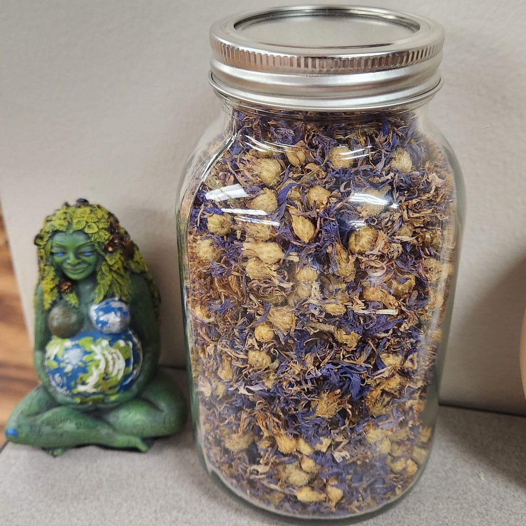 [02121190301] Cornflowers