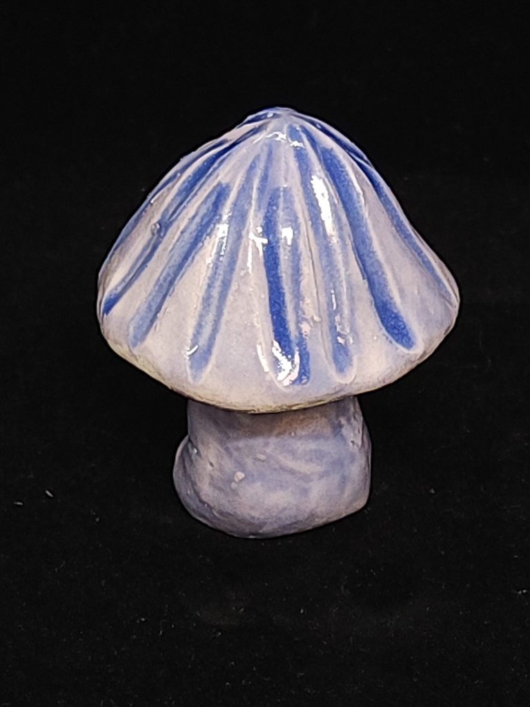 [5813090805173] E. hochstetteri Mushroom