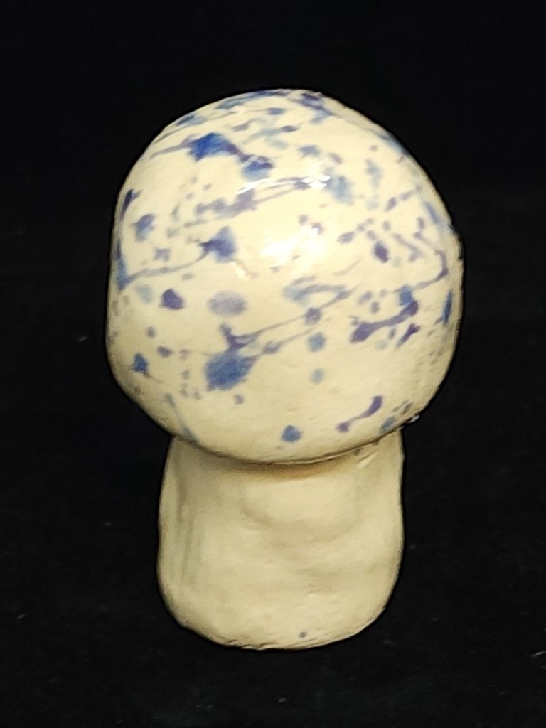 [5813090858174] Indigo Milk Cap Mushroom