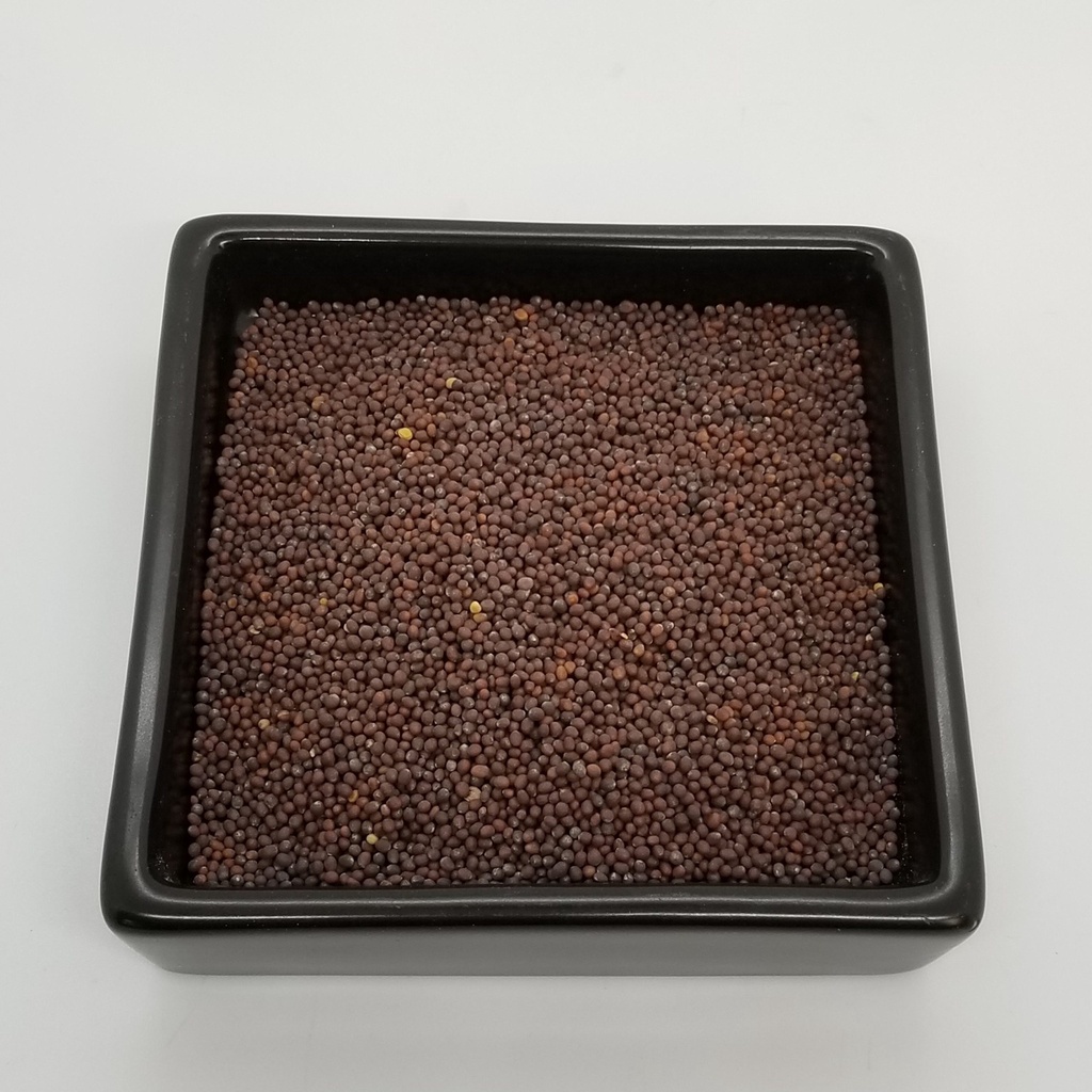 [0212990301] Mustard seed
