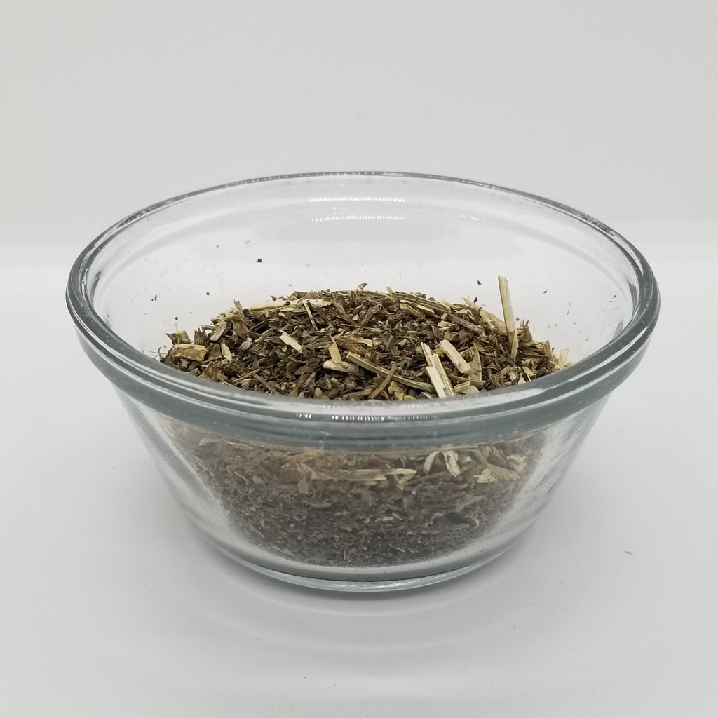 Catnip (Nepeta cataria)