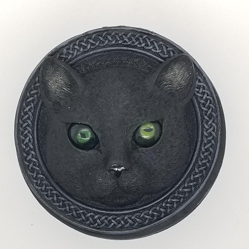 [176549122477] Cat Box w/ Rolling Eyes