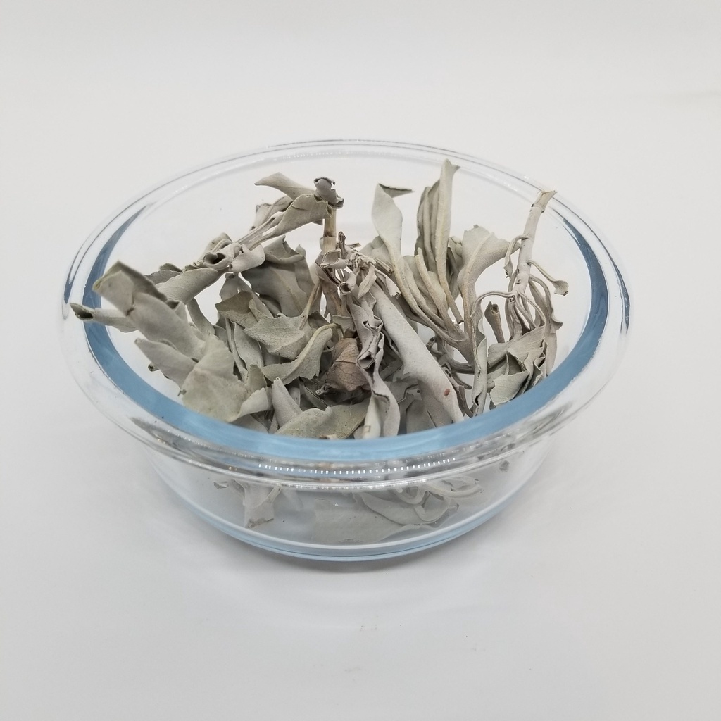 White sage (Salvia apiana)